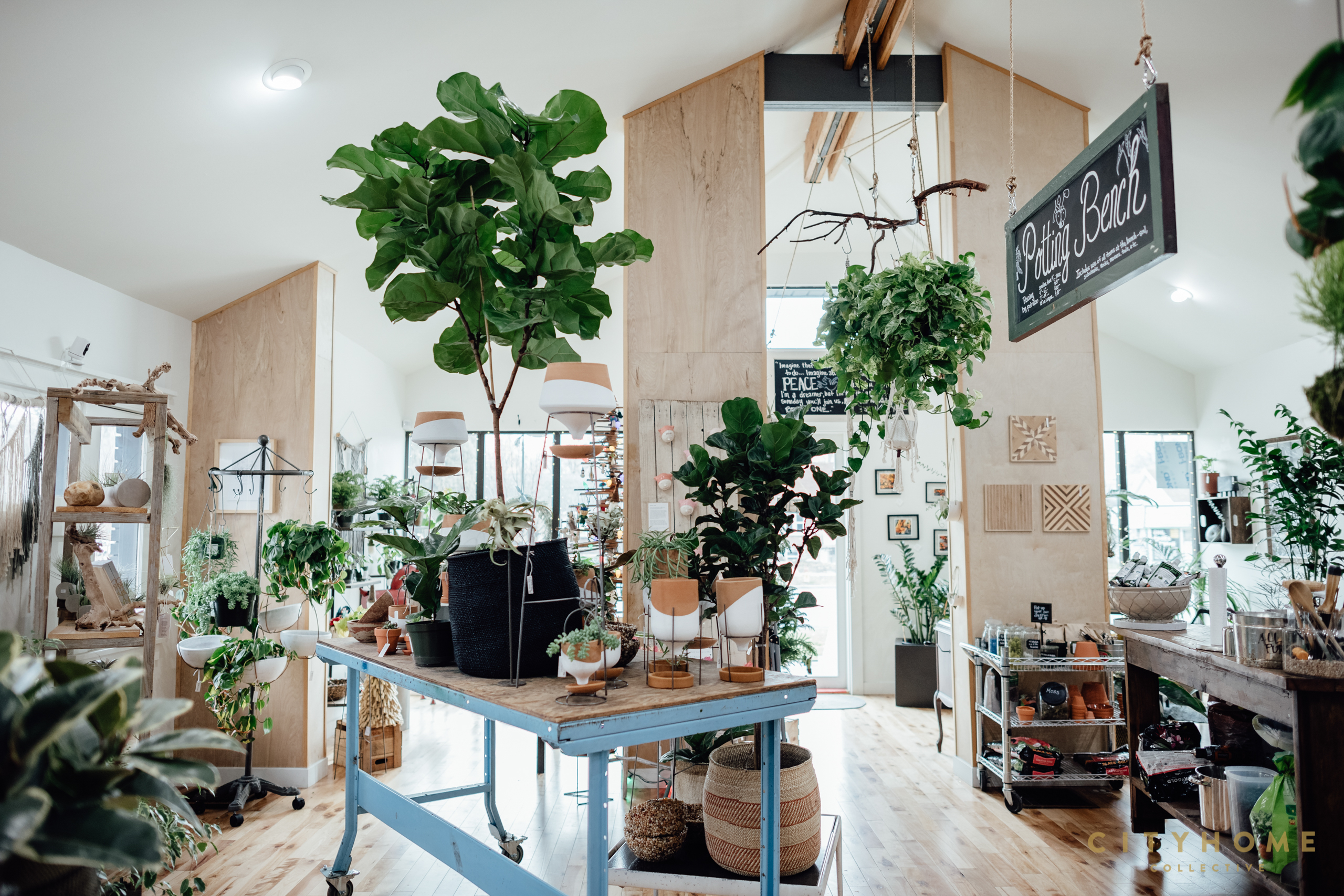 Thyme and Place Herb Your Enthusiasm